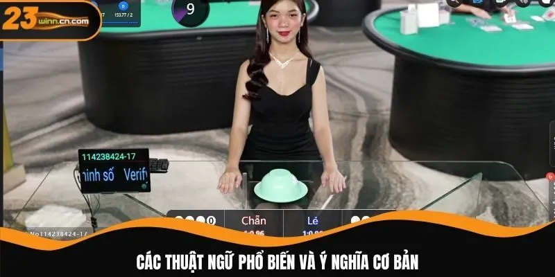 Điểm danh các thuật ngữ phổ biến và ý nghĩa