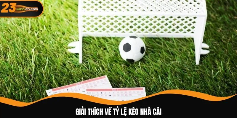 Giải thích về tỷ lệ kèo nhà cái