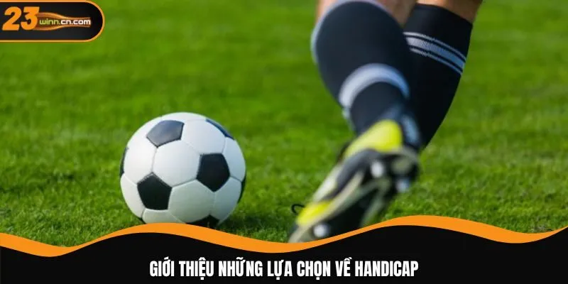 Giới thiệu những lựa chọn về Handicap 