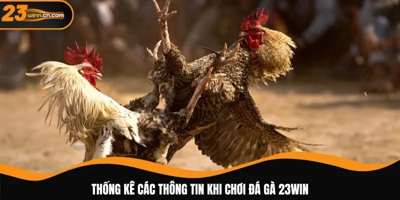 Thống kê các thông tin khi chơi đá gà 23WIN